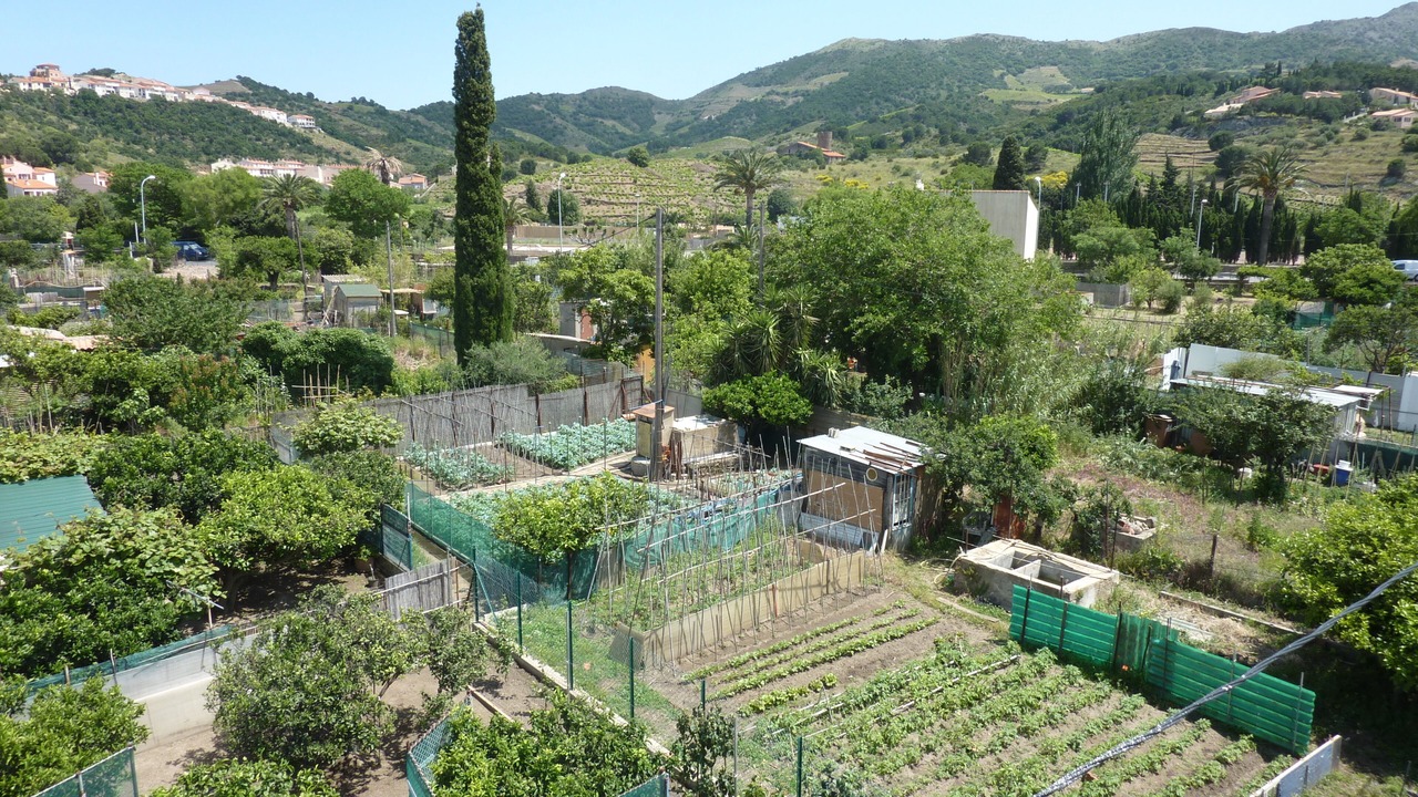 Photo of Outdoor in Banyuls-sur-Mer