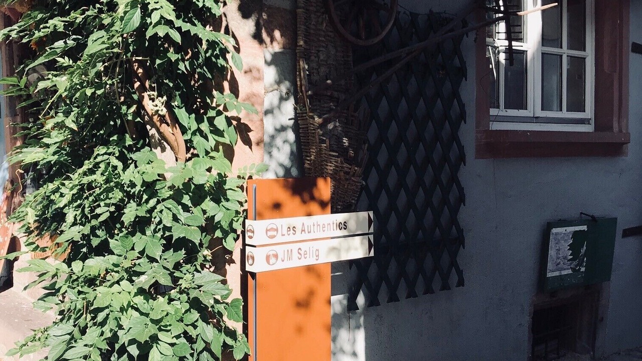Photo of Outdoor in Riquewihr