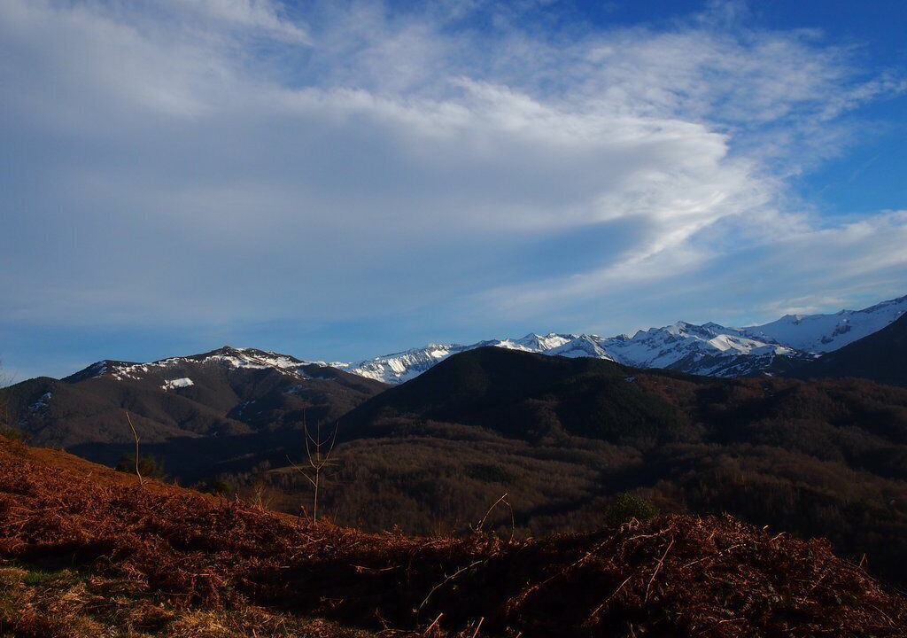 Photo of Outdoor in Aleu