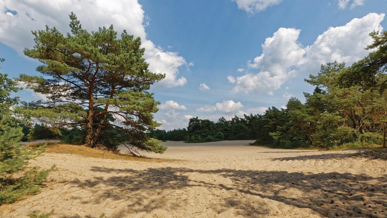 Photo of Others in Ommen