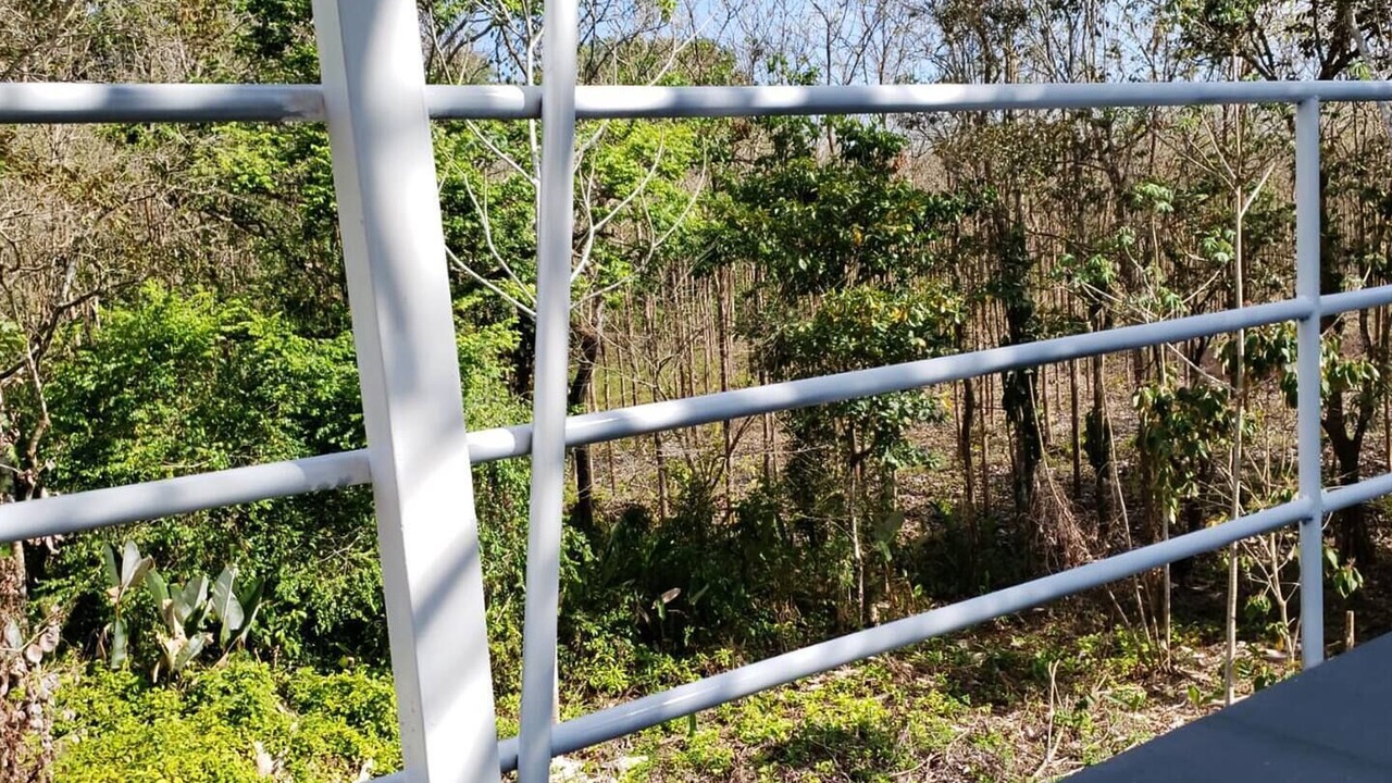 Photo of Others in Parrita