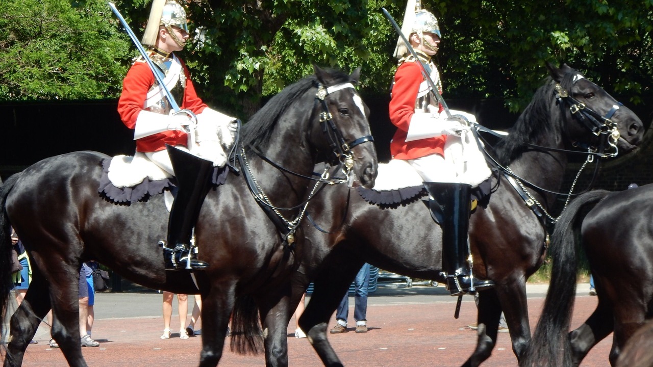 Photo of Others in Pimlico