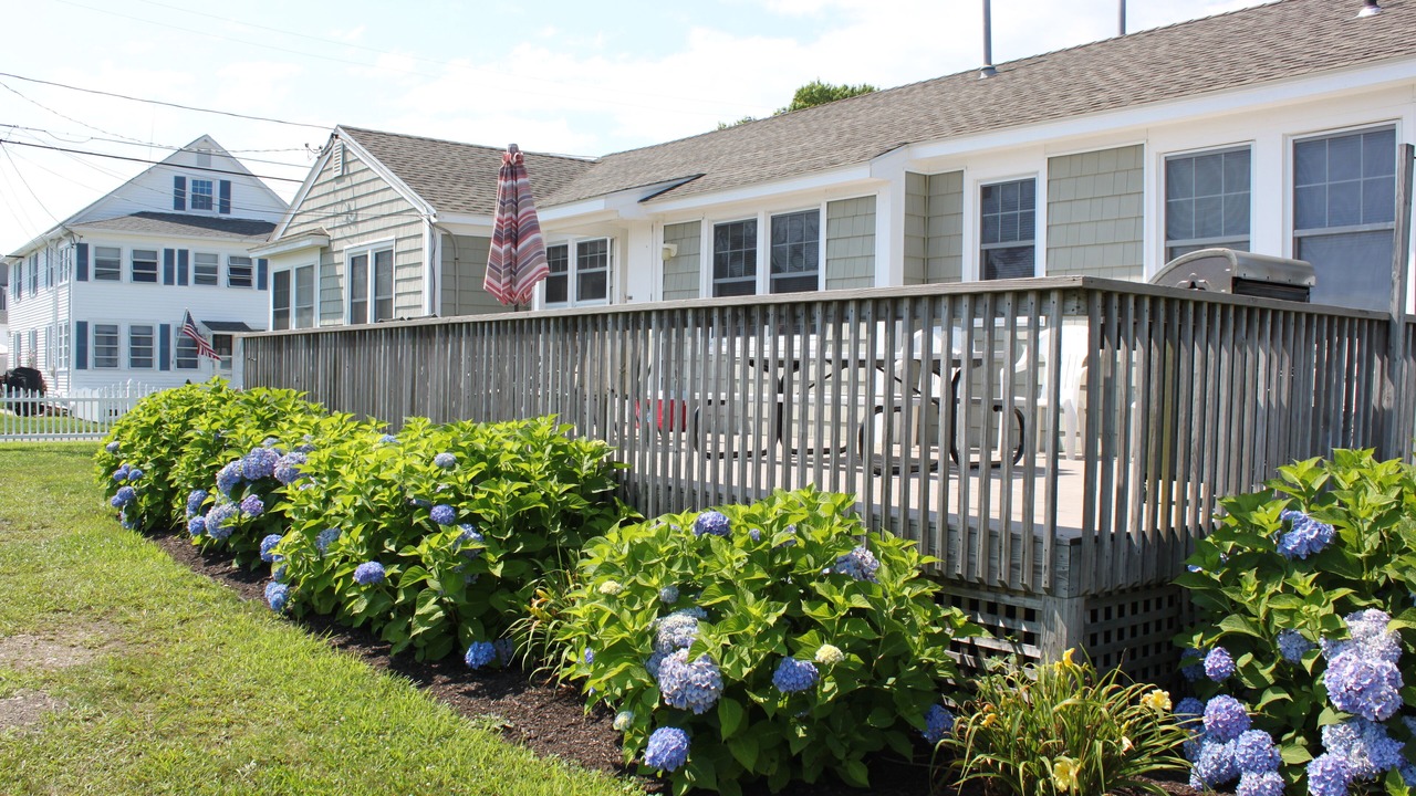 Photo of Others in Old Lyme