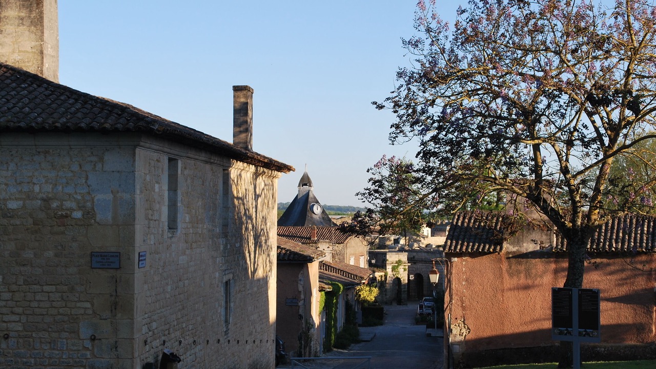 Photo of Outdoor in Blaye