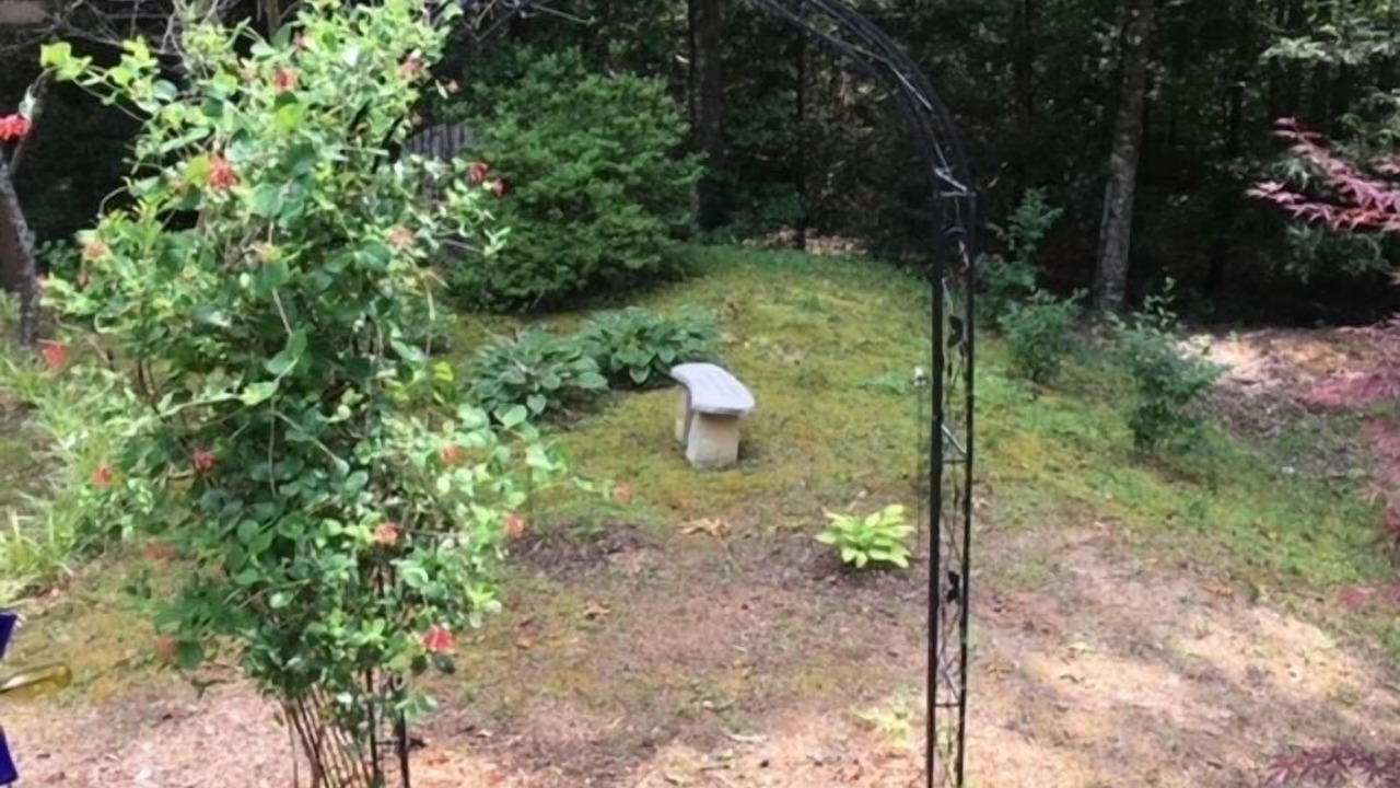 Photo of Outdoor in Lake Lure