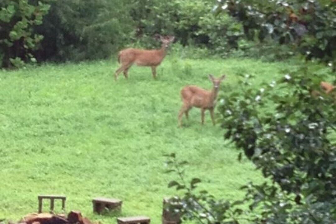 Photo of Others in Lake Lure