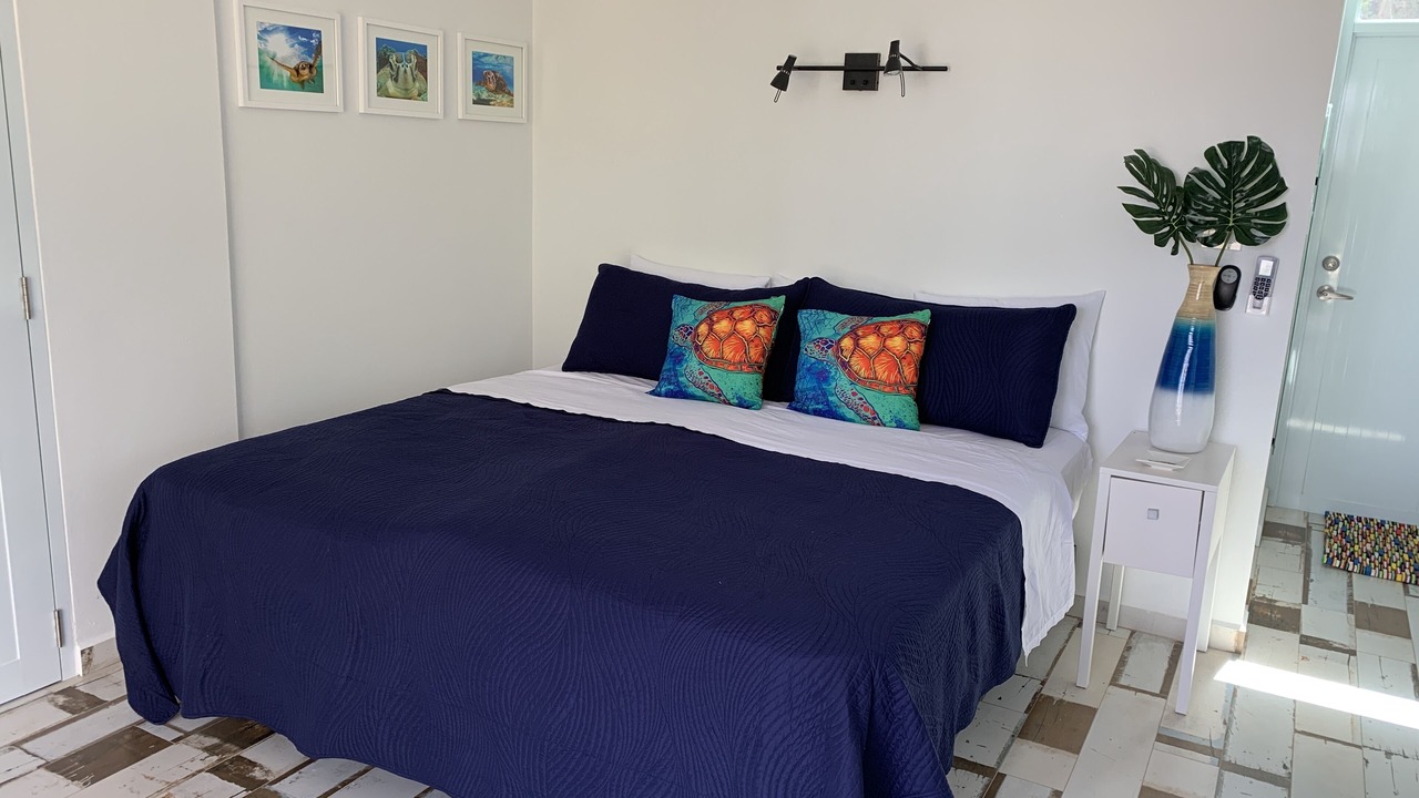 Photo of Bedroom in Puntas