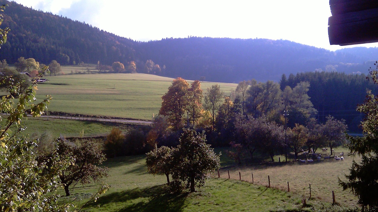 Photo of Outdoor in Gemarkung Tieringen