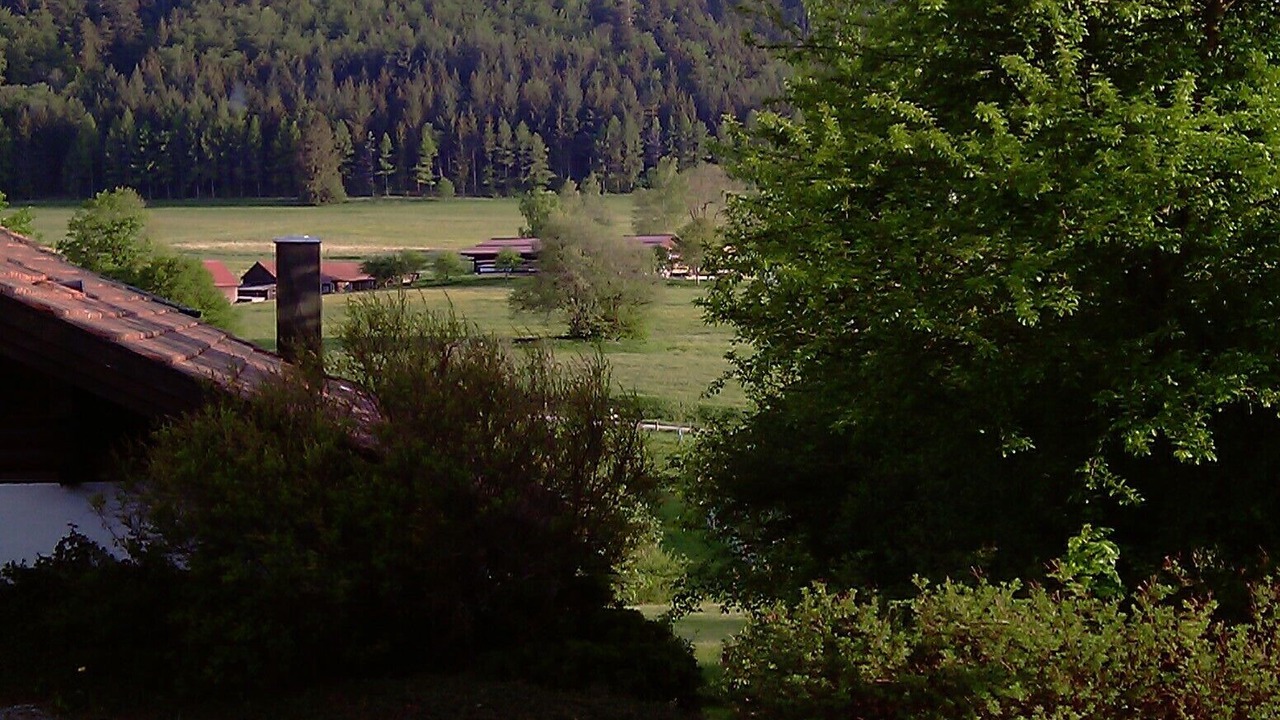 Photo of Outdoor in Gemarkung Tieringen