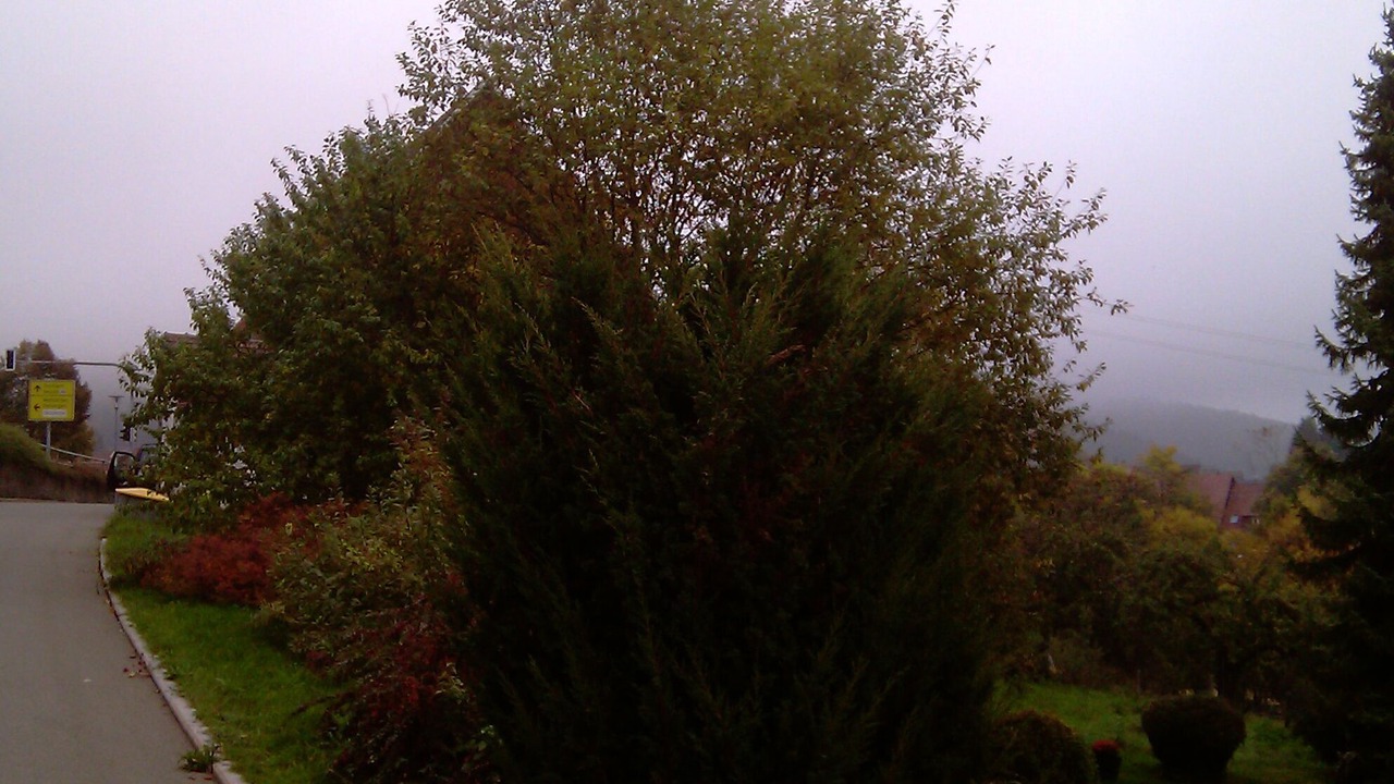 Photo of Outdoor in Gemarkung Tieringen