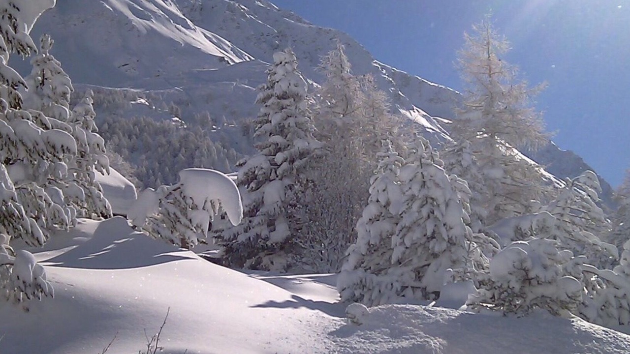 Photo of Others in Maloja