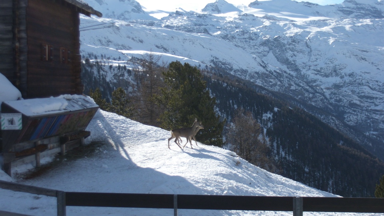 Photo of Outdoor in Taesch