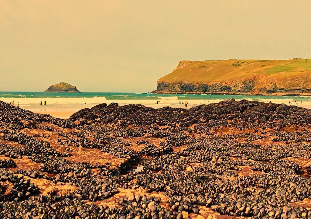 Photo of Others in Polzeath