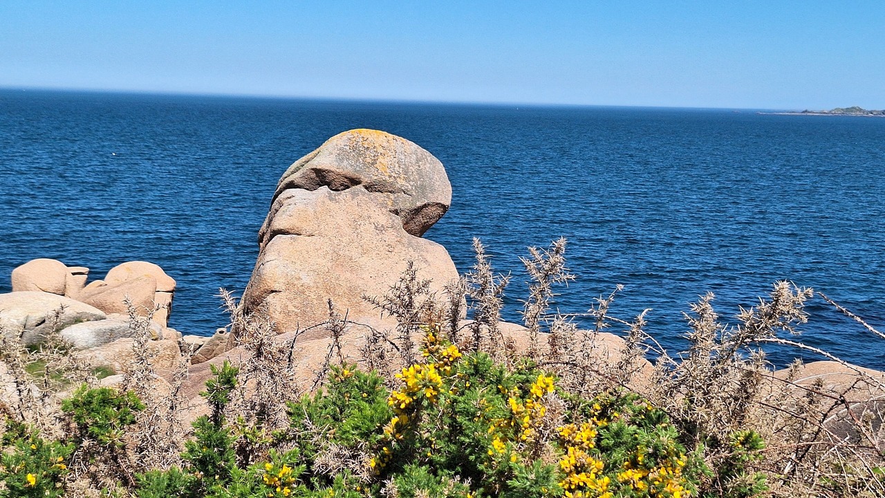 Photo of Others in Perros-Guirec