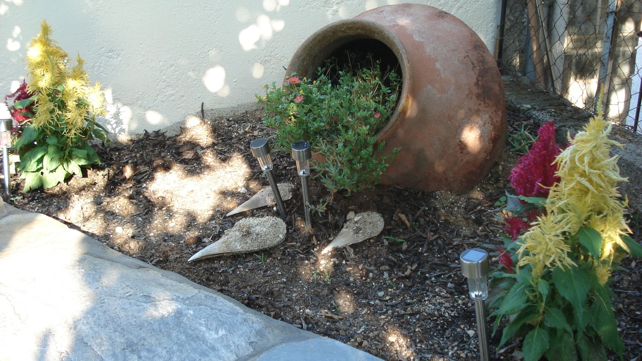 Photo of Outdoor in Kala Nera