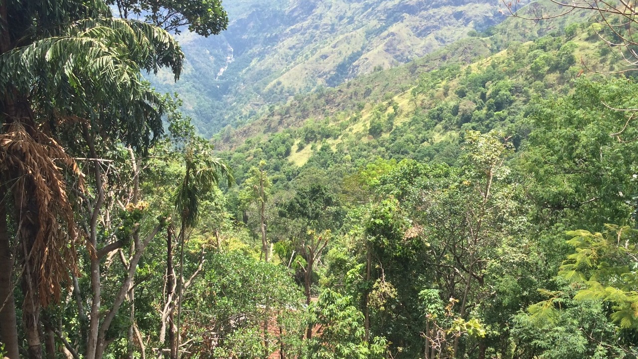 Photo of Outdoor in Ella