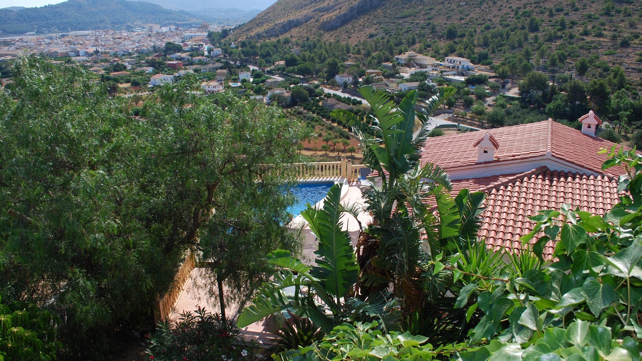 Photo of Outdoor in Pedreguer