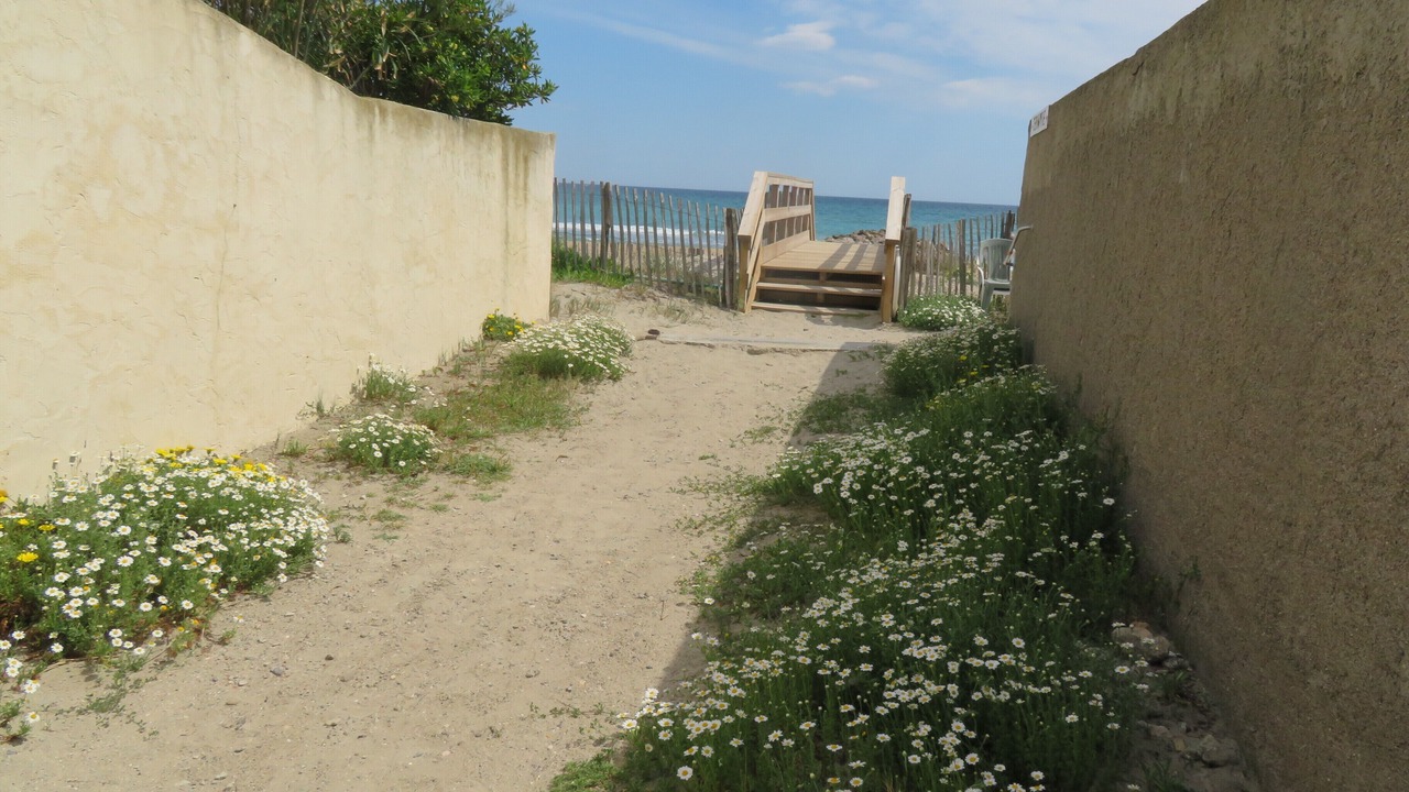 Photo of Others in Frontignan