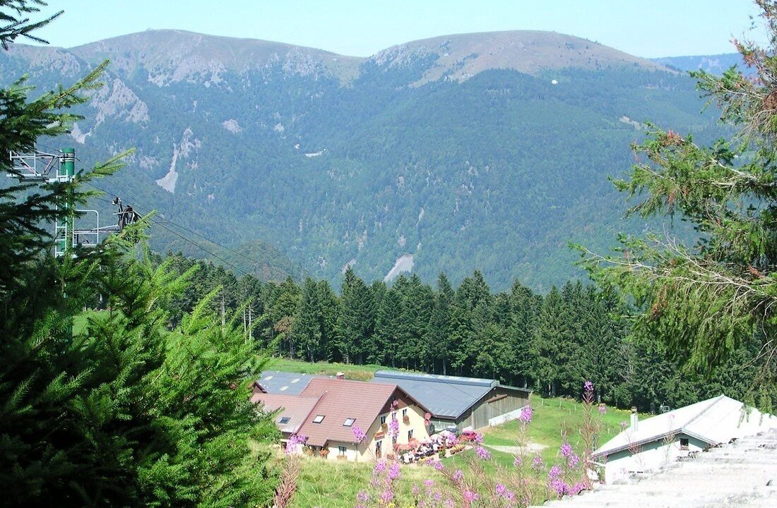 Photo of Others in Mittlach