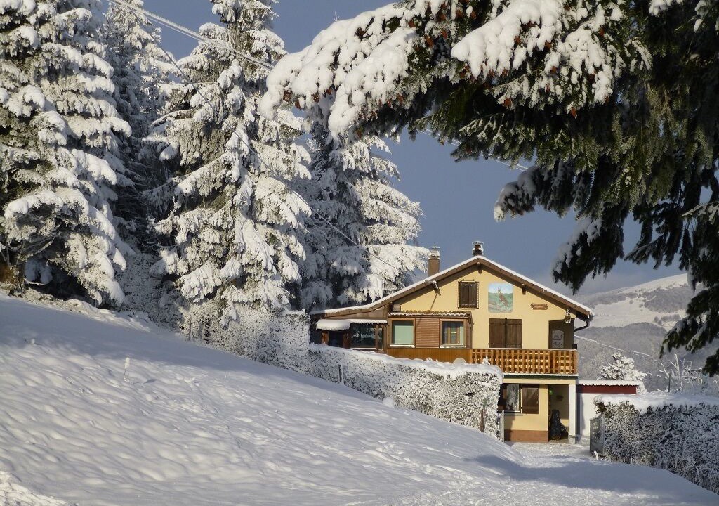 Photo of Outdoor in Mittlach