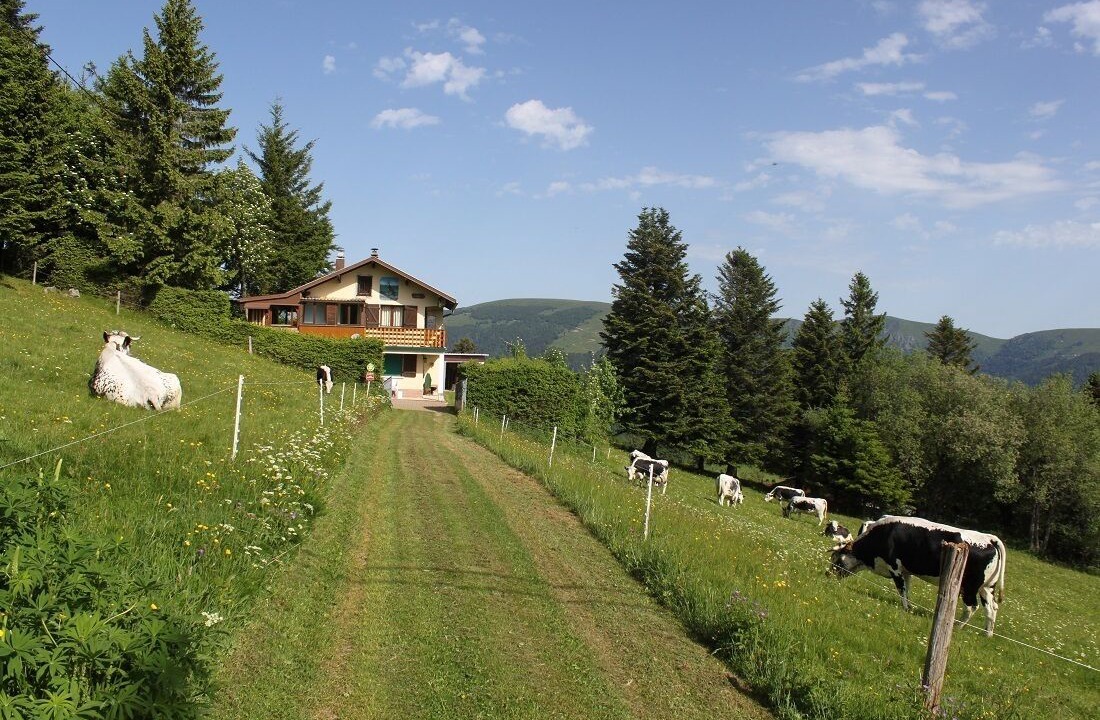 Photo of Outdoor in Mittlach