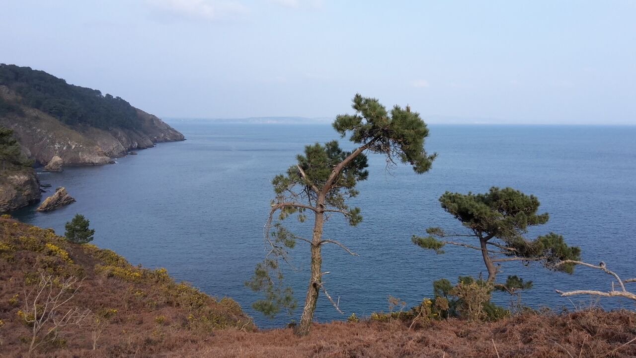 Photo of Others in Crozon