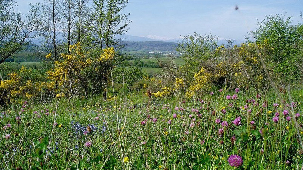 Photo of Outdoor in Roumengoux