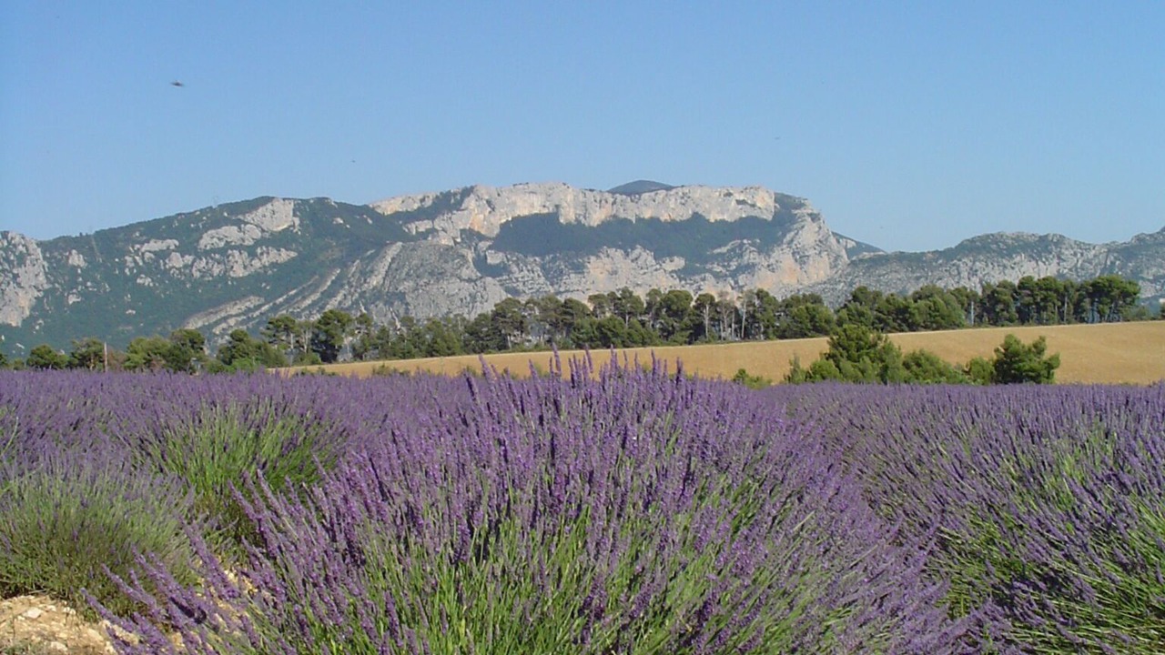 Photo of Outdoor in Baudinard-sur-Verdon