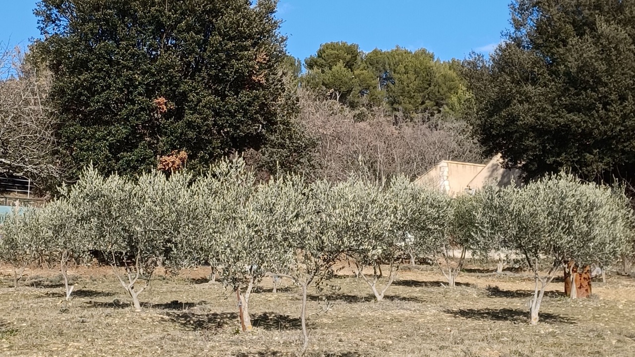 Photo of Outdoor in Baudinard-sur-Verdon