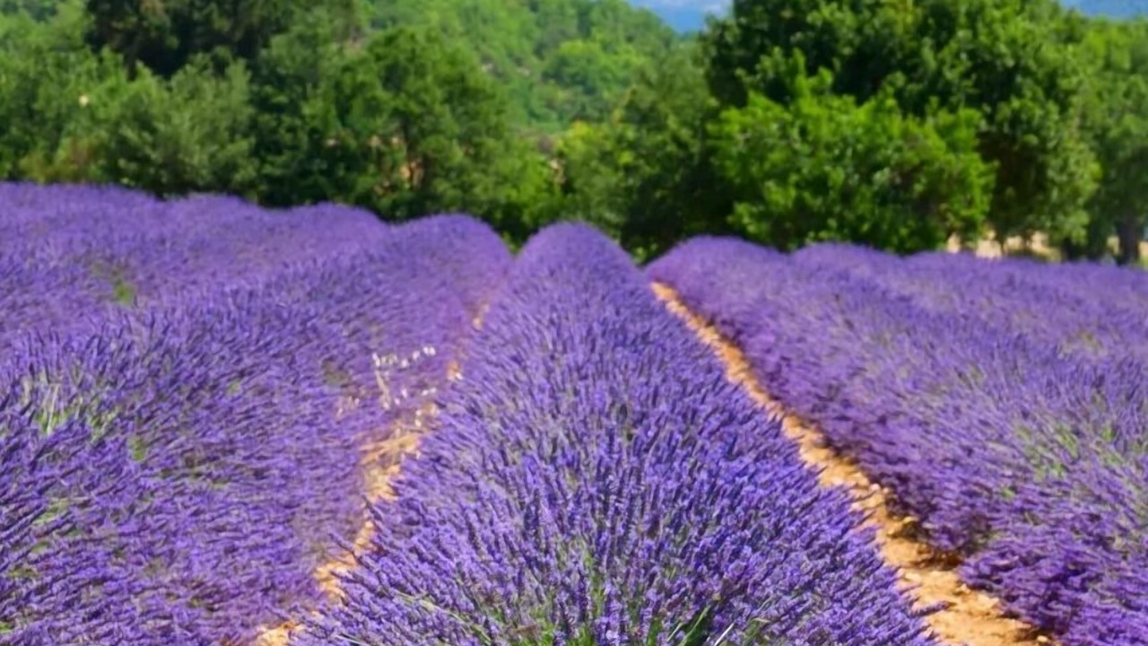 Photo of Outdoor in Le Luc