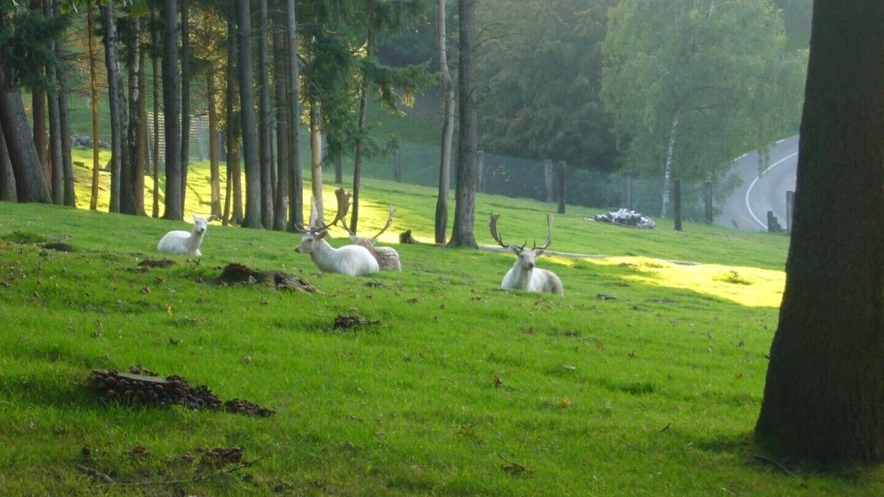 Photo of Others in Ferrette