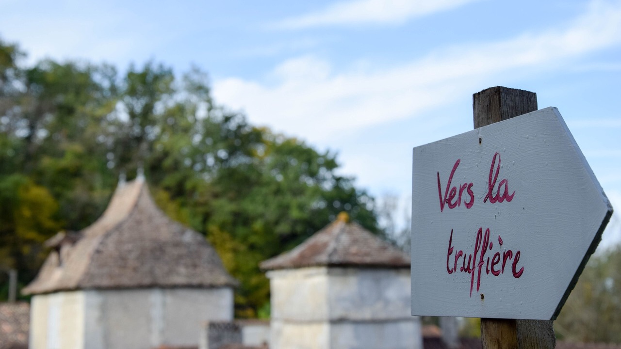 Photo of Outdoor in Saint-Aulaye-Puymangou