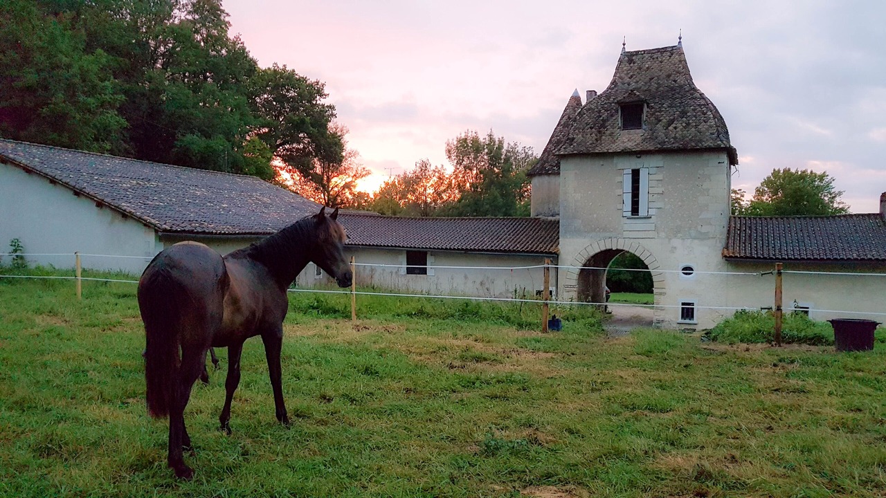 Photo of Outdoor in Saint-Aulaye-Puymangou