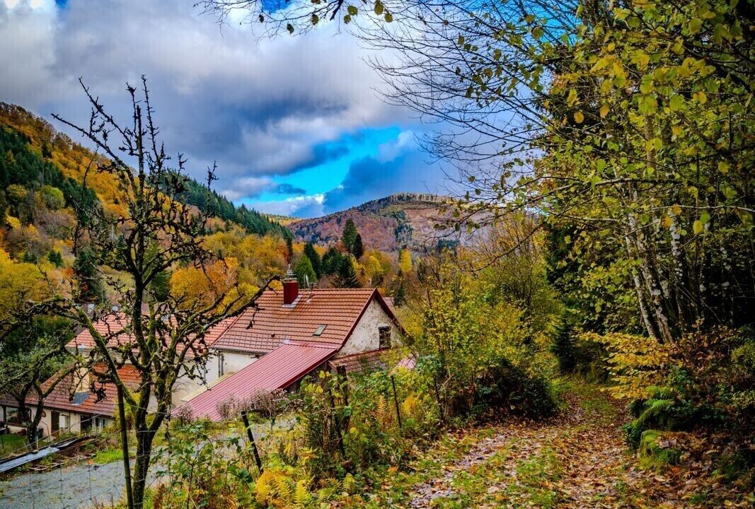 Photo of Outdoor in Lepuix