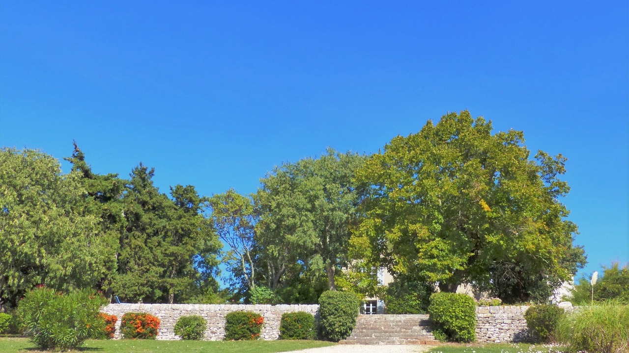 Photo of Outdoor in Saint-Maximin-la-Sainte-Baume