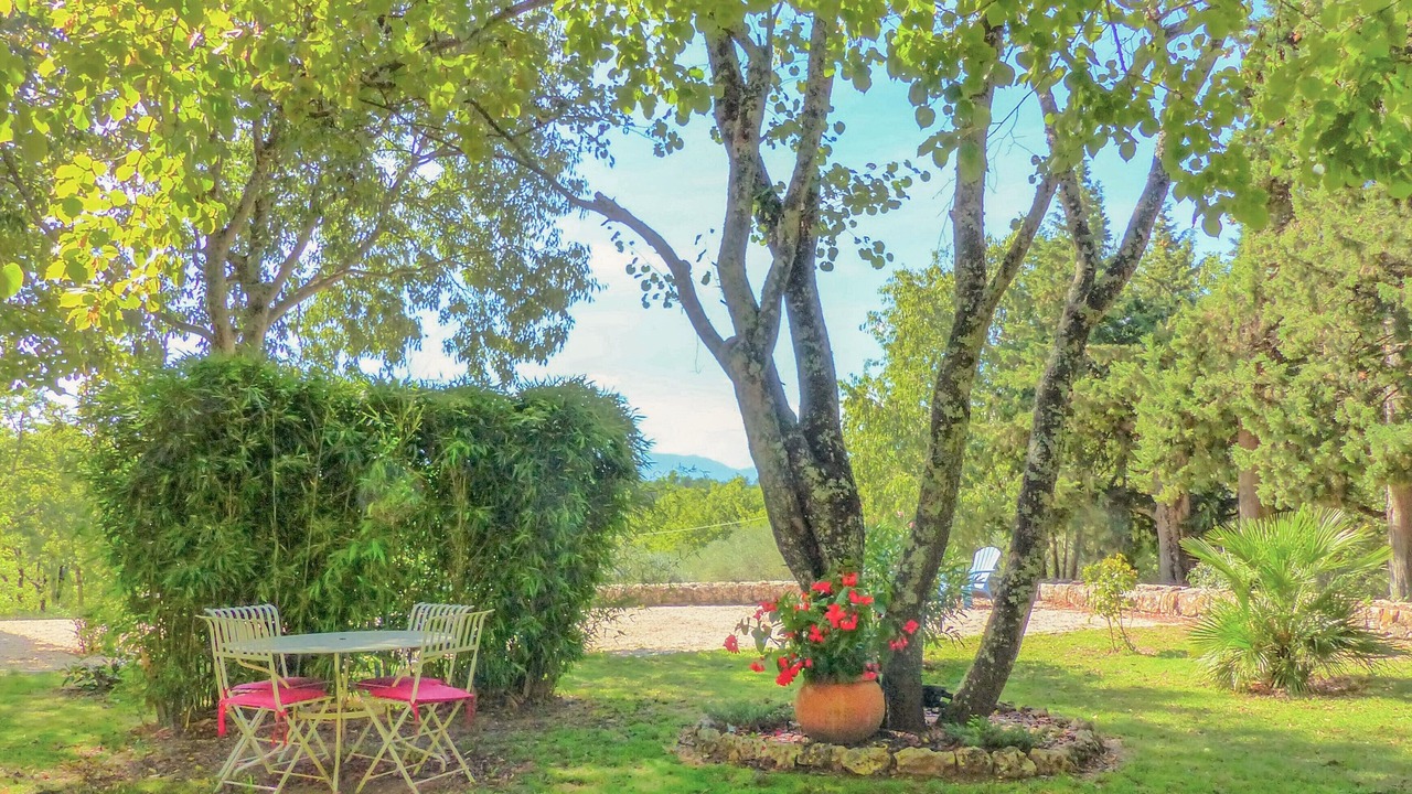 Photo of Outdoor in Saint-Maximin-la-Sainte-Baume