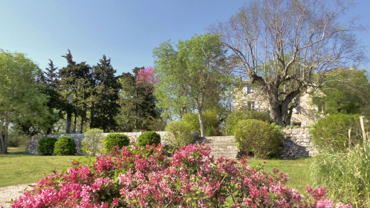 Photo of Outdoor in Saint-Maximin-la-Sainte-Baume
