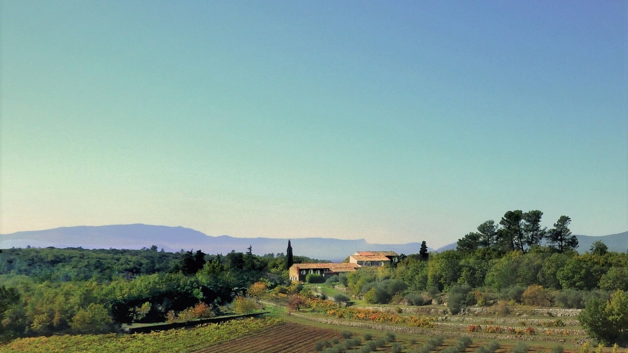 Photo of Others in Saint-Maximin-la-Sainte-Baume