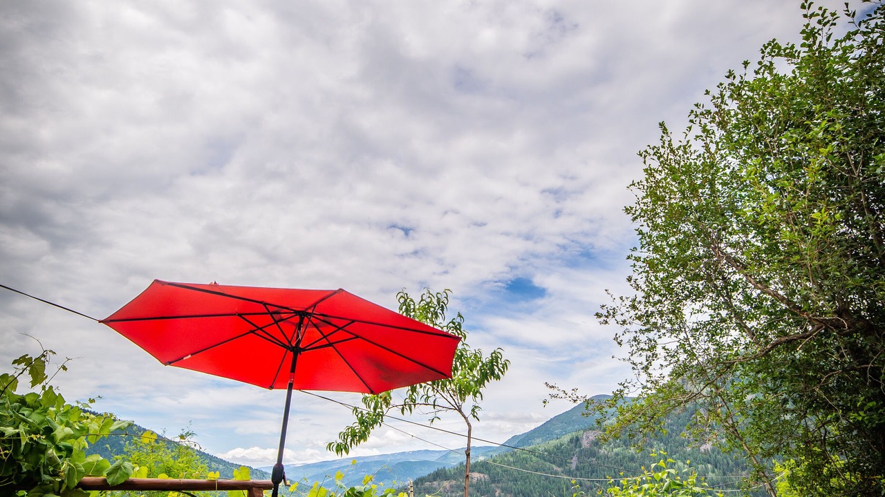 Photo of Outdoor in Nelson