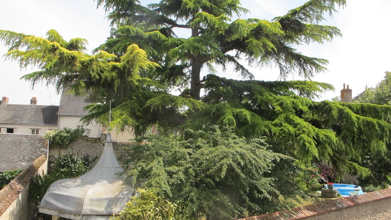 Photo of Outdoor in Meung-sur-Loire