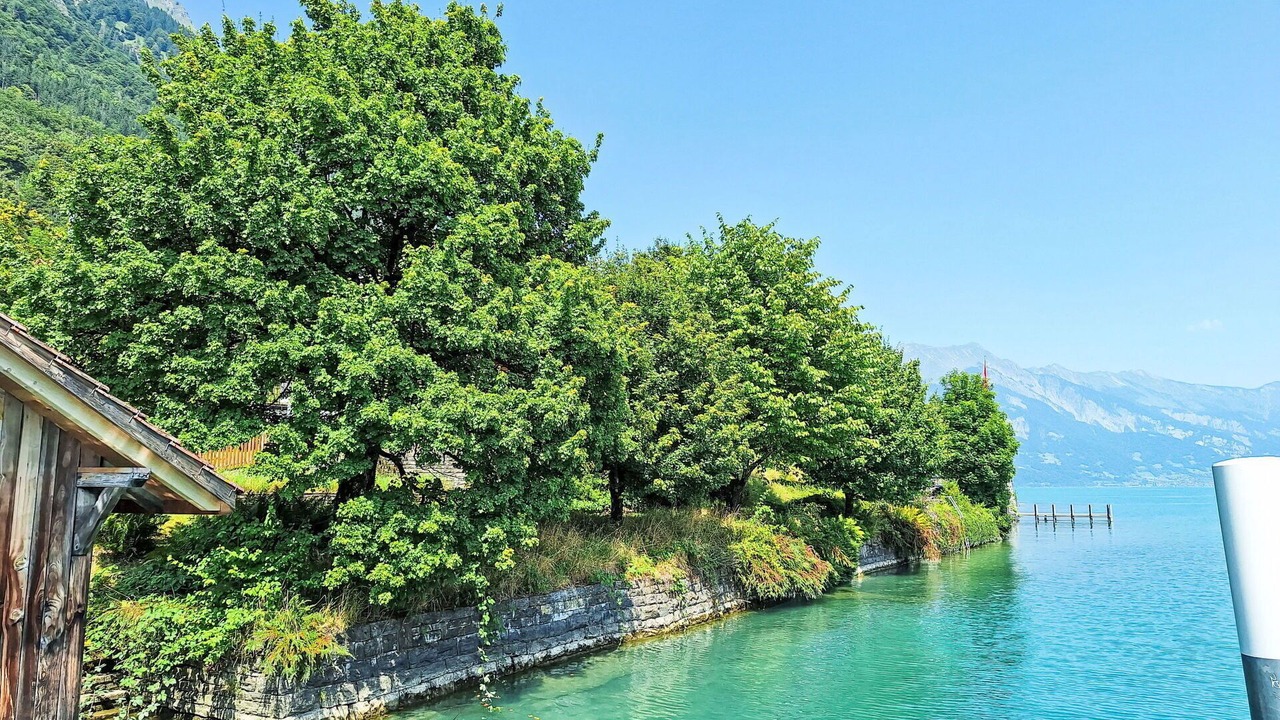 Photo of Outdoor in Niederried bei Interlaken