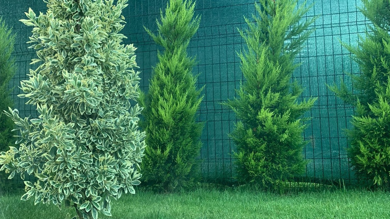 Photo of Outdoor in Camyuva