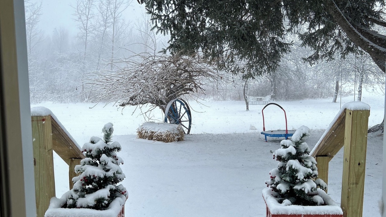 Photo of Outdoor in Birch Run Township