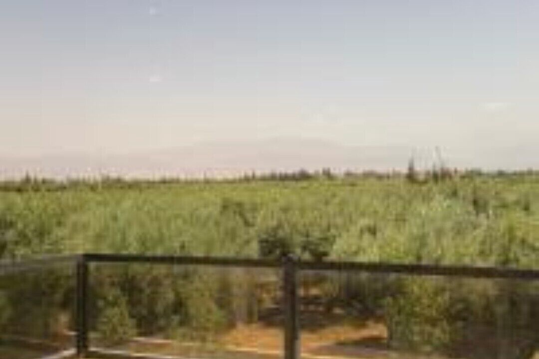 Photo of Outdoor in Sidi Abdallah Ghiat
