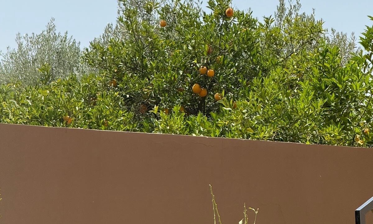 Photo of Outdoor in Sidi Abdallah Ghiat