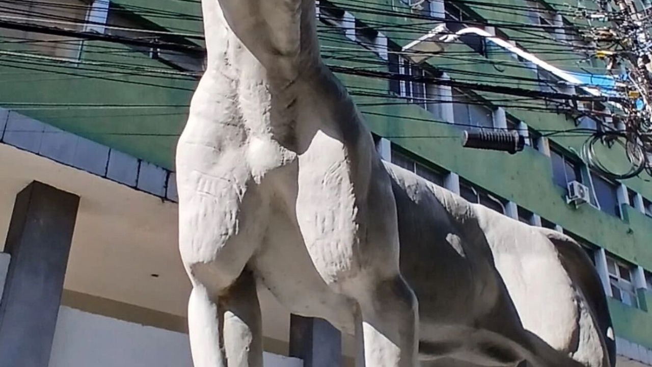 Photo of Outdoor in Centro
