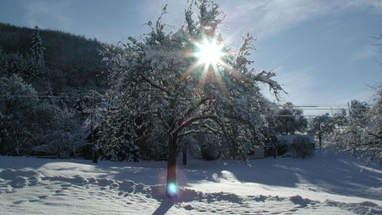 Photo of Others in Freiamt