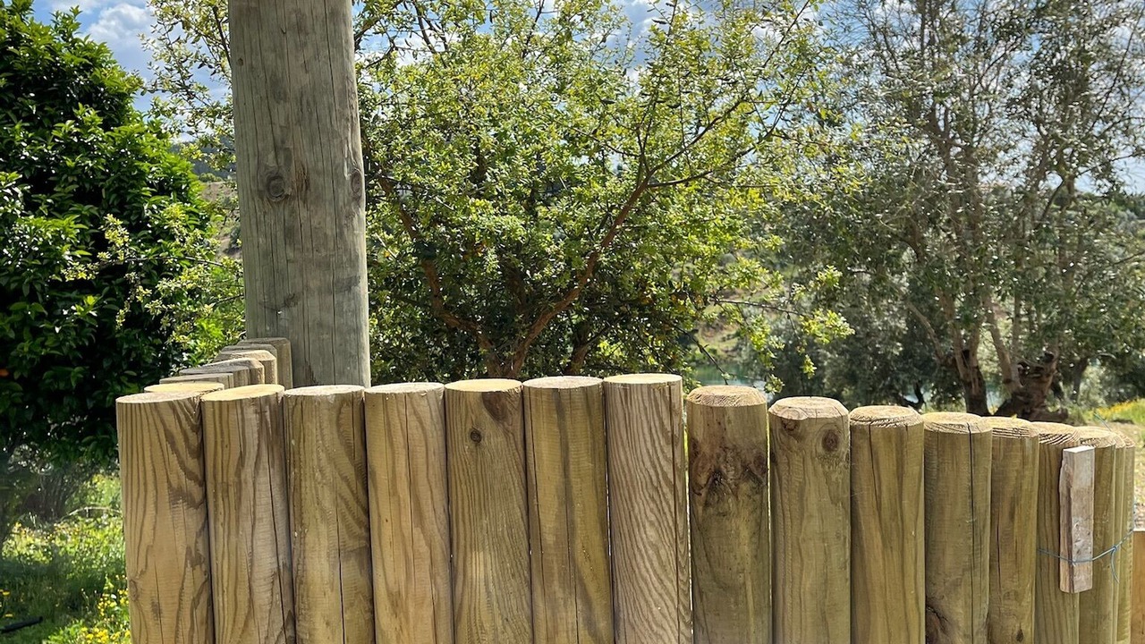 Photo of Outdoor in Abrantes