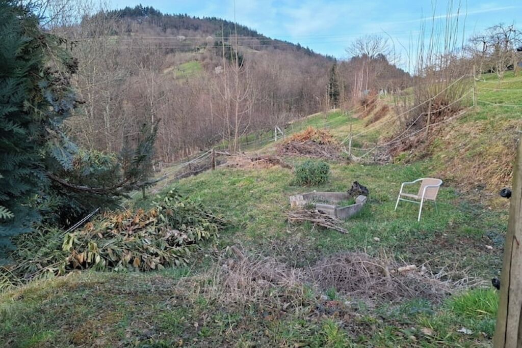 Photo of Outdoor in Neusatz