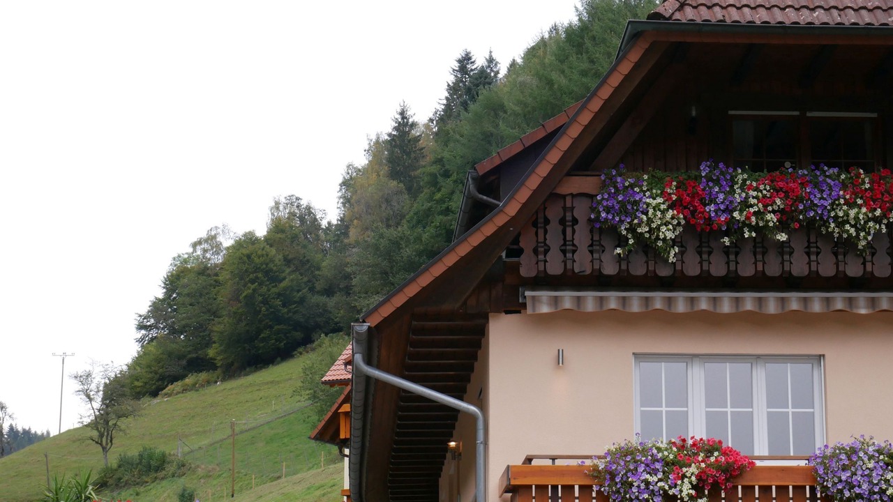 Photo of Outdoor in Wolfach - Saint Roman